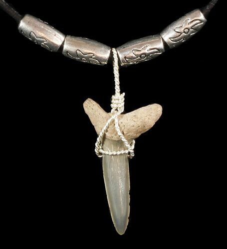 Fossil Sand Tiger Shark Tooth Necklace #47584
